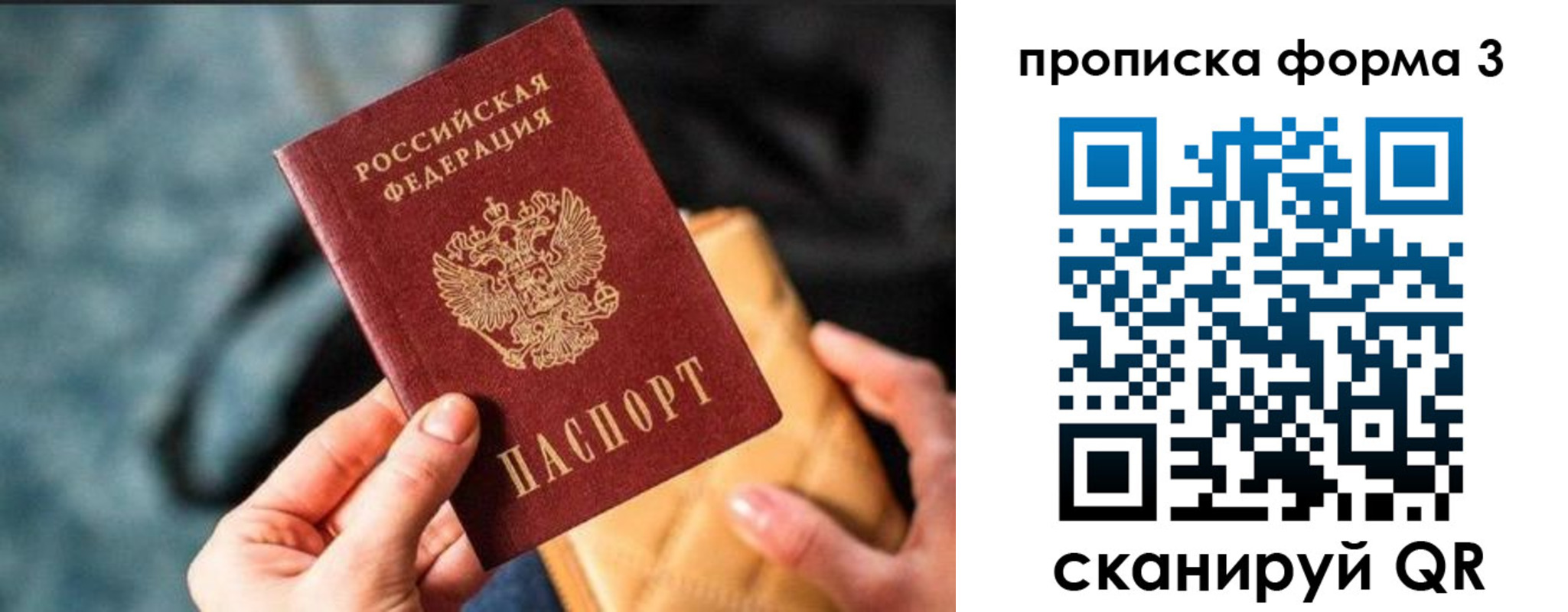 прописка гарантия в Камызяке